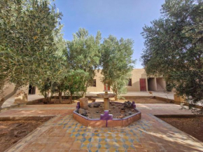Riad Akour